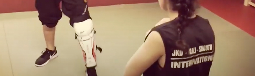 Jeet Kune Do Training