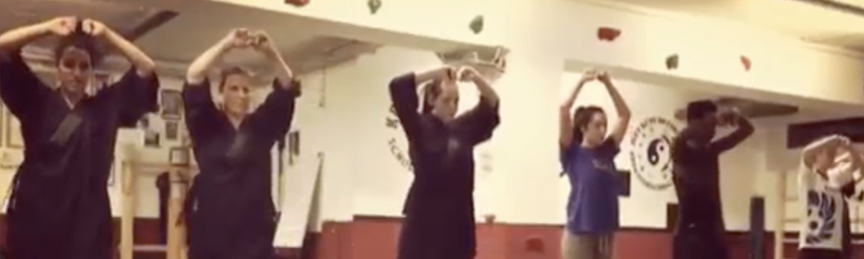 Shaolin Kung Fu Training